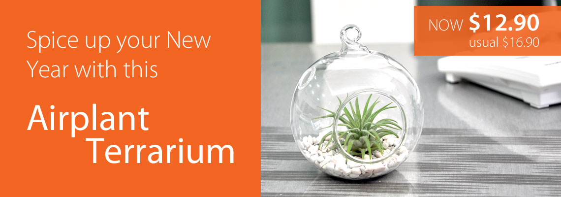 Terrarium Promo